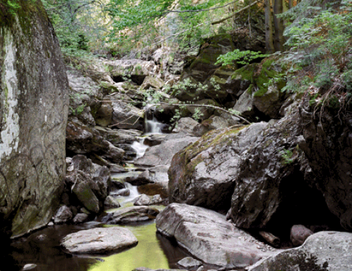 Steinklamm in Spiegelau